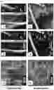 Fig. 08 - Aligned porous fibrillar scaffold for tissue engineering and surgical application