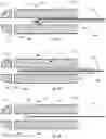 Fig. 08 - Drug eluting insert for implantable body