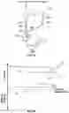 Fig. 06 - Systems and methods for controlling an infusion pump