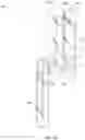 Fig. 21 - FLUID DISPENSING APPARATUS