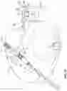 Fig. 06 - Electric coupling for injection devices