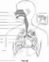 Fig. 05 - Patient interface