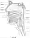 Fig. 06 - Patient interface