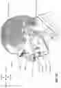 Fig. 08 - Patient interface