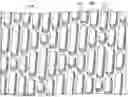 Fig. 01 - SHARKLET TOPOGRAPHIES TO CONTROL NEUTRAL CELL INTERACTIONS WITH IMPLANTED ELECTRODES