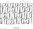 Fig. 03 - SHARKLET TOPOGRAPHIES TO CONTROL NEUTRAL CELL INTERACTIONS WITH IMPLANTED ELECTRODES