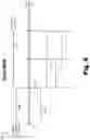 Fig. 07 - Apparatuses and methods for setting cochlear implant system stimulation parameters based on electrode impedance measurements