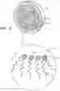 Fig. 06 - PHASE-CHANGE NANOPARTICLE