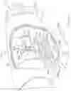 Fig. 05 - Surgical instruments