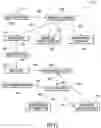 Fig. 11 - Systems and methods of cannabis oil extraction