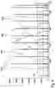 Fig. 06 - Method for Adapting UV Cell Pathlength in a Chromatography System