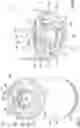 Fig. 05 - Treatment device for treating fluids, in particular liquid fluids, and treatment element of treatment device