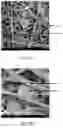 Fig. 06 - Filter media comprising binder components