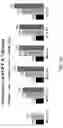 Fig. 19 - Multi-bed rapid cycle kinetic PSA