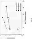 Fig. 21 - Multi-bed rapid cycle kinetic PSA