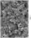 Fig. 02 - Method of preparing hybrid membrane