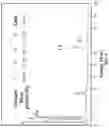 Fig. 06 - Method of preparing hybrid membrane