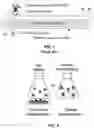 Fig. 02 - Controlled release of hydrogen from composite nanoparticles