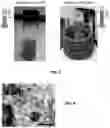 Fig. 03 - Controlled release of hydrogen from composite nanoparticles