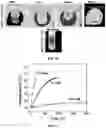 Fig. 06 - Controlled release of hydrogen from composite nanoparticles