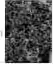 Fig. 03 - CARBON MATERIAL FOR CATALYST CARRIER OF POLYMER ELECTROLYTE FUEL CELL, AND METHOD OF PRODUCING THE SAME