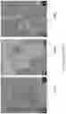 Fig. 06 - Multi-spectral photocatalytic compounds