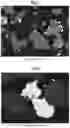 Fig. 05 - Hydrogenation and ethynylation catalysts
