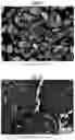 Fig. 12 - Hydrogenation and ethynylation catalysts