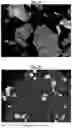 Fig. 16 - Hydrogenation and ethynylation catalysts