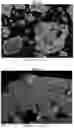 Fig. 22 - Hydrogenation and ethynylation catalysts