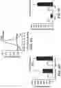 Fig. 15 - DEVICE, SYSTEM AND METHODS FOR ELECTROPHYSIOLOGICAL INTERROGATION OF CELLS AND TISSUES
