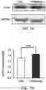 Fig. 16 - DEVICE, SYSTEM AND METHODS FOR ELECTROPHYSIOLOGICAL INTERROGATION OF CELLS AND TISSUES
