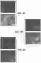Fig. 17 - DEVICE, SYSTEM AND METHODS FOR ELECTROPHYSIOLOGICAL INTERROGATION OF CELLS AND TISSUES