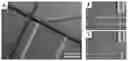 Fig. 01 - OPTOFLUIDIC DEVICE AND METHOD FOR DETECTING CIRCULATING TUMOUR CELLS