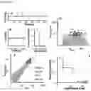 Fig. 03 - OPTOFLUIDIC DEVICE AND METHOD FOR DETECTING CIRCULATING TUMOUR CELLS