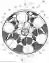 Fig. 03 - Fixed angle centrifuge rotor with stiffening rib
