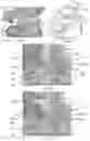 Fig. 06 - LIQUID DISPENSING DEVICE HAVING AN EDGER ACCESSORY