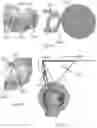 Fig. 15 - LIQUID DISPENSING DEVICE HAVING AN EDGER ACCESSORY