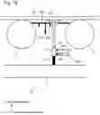 Fig. 20 - Cooling device for hot rolled steel sheet and cooling method for the same