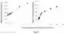 Fig. 05 - Process for manufacturing a titanium zirconium alloy and its embodiment by additive manufacturing
