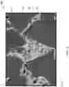 Fig. 03 - BONDED ABRASIVE ARTICLE INCLUDING A FILLER COMPRISING A NITRIDE