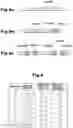 Fig. 04 - Method and device for assisting molding condition setting technical field