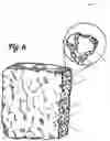 Fig. 05 - Method of forming a mycological product