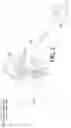 Fig. 06 - Wiper blade positions