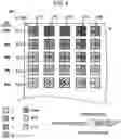 Fig. 05 - Printing method and ink discharge amount upper limit determining method