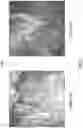 Fig. 06 - Elastomeric materials for components of tyres and tyres comprising modified silicate fibres