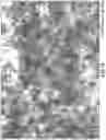 Fig. 16 - Elastomeric materials for components of tyres and tyres comprising modified silicate fibres