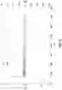 Fig. 17 - Elastomeric materials for components of tyres and tyres comprising modified silicate fibres