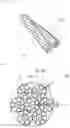 Fig. 04 - Steel cord for reinforcing rubber article, method for manufacturing same, and tire