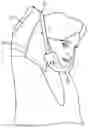 Fig. 01 - Head sling affixable to a chair